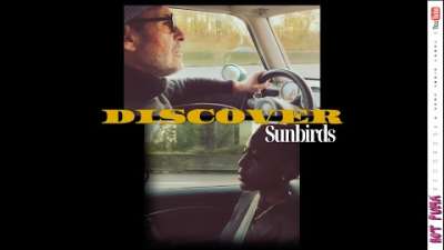 Embedded thumbnail for Sunbirds